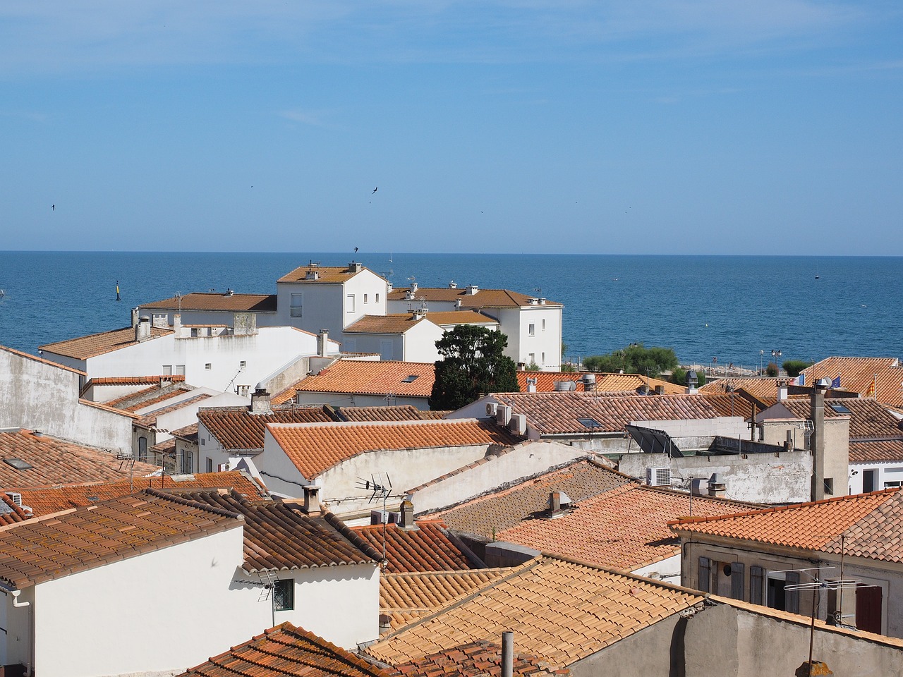 Aventure de 3 jours en Mer Rouge